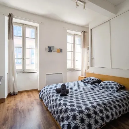 Le Soleil Du Pont Vieux - Avec Terrasse - Wi-fi - Proche Cite Medievale Apartmán