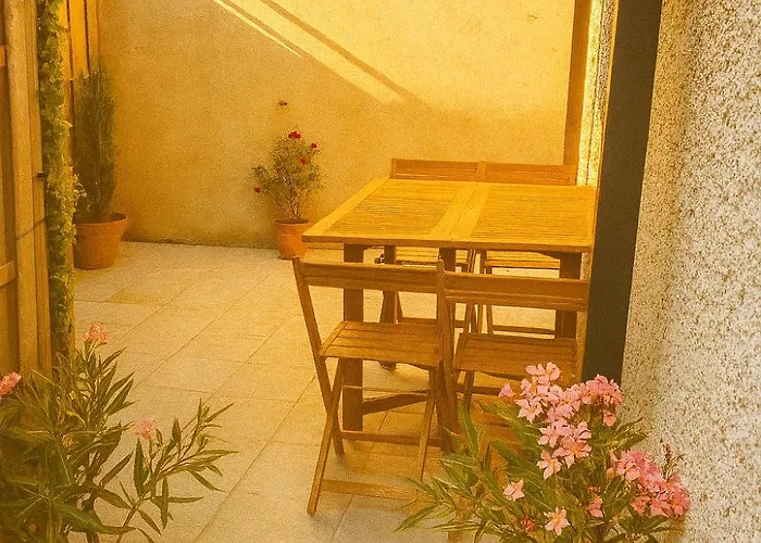 Daire Le Soleil Du Pont Vieux - Avec Terrasse - Wi-fi - Proche Cite Medievale Carcassonne